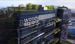 woods-square photo thumbnail #7